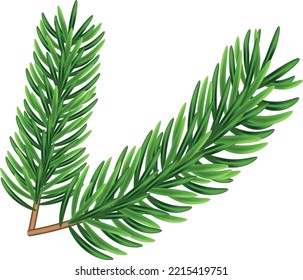 Green fir branches, decoration for Christmas and New Year on a transparent background. Universal template for flyers, postcards, price tags, invitations, Christmas tree vector no raster