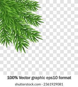 Green fir branches, decoration for Christmas and New Year on a transparent background. Universal template for flyers, postcards, price tags, invitations, Christmas tree vector no raster