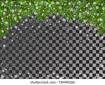 Green fir branches and falling snow on transparent background. Vector element for Christmas card.