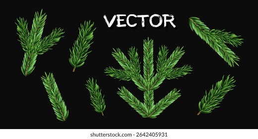 Green fir branches. Realistic christmas tree elements for design, new year winter, coniferous and spruce branches, vector 3d isolated set.