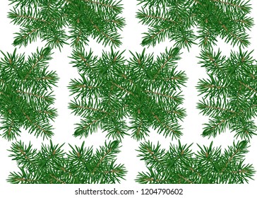 Green Fir Branches seamless pattern, background. Colored vector illustration.