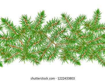 Green Fir Branches seamless pattern, background. Colored vector illustration.