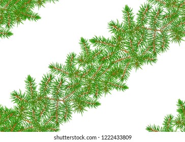 Green Fir Branches seamless pattern, background. Colored vector illustration.