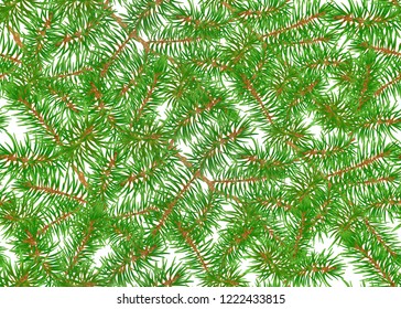 Green Fir Branches seamless pattern, background. Colored vector illustration.