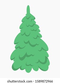 Green fir for christmas and new year celebration. Isolated flat vector illustration