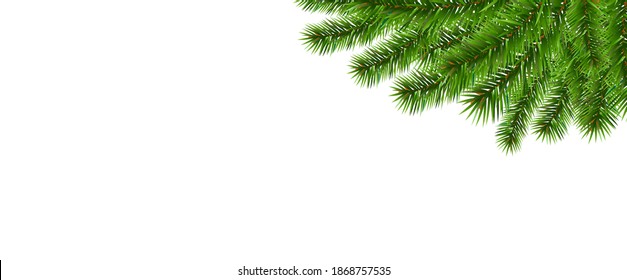 Green Fir Tree Border And White Background With Gradient Mesh, Vector Illustration