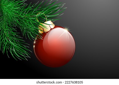 Green fir tree branch with red shiny Christmas ornament