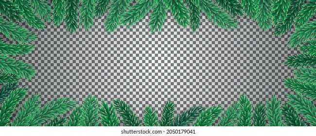 Green fir tree branches rectangular border on transparent background. Vector