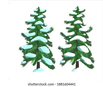 Green fir trees in the snow on a white background. Vector illustration