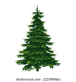 green fir trees vector design