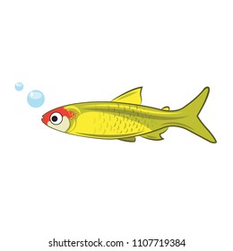 Green fish vector.