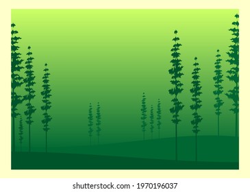 Green flat art background image and forest view with sunset background