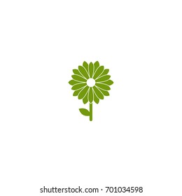 Green flat icon of chrysanthemum flower in with stem and leaf. Big Bloom with big sharp petals and white core. 
