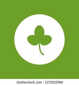 Green flat icon of irish clover in circle. Shamrock isolated on green background. Vector illustration. Eco style. St Patrick day badge