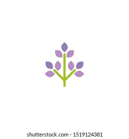 Green flat icon of lavender flower. Isolated on white. Vector illustration. Eco style. Nature symbol. 