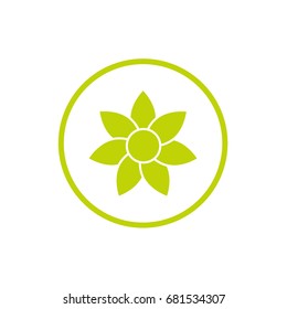 Green flat icon of sunflower in green circle. Bloom with long diamond petals and round core. Isolated on white. Vector flower illustration. Eco style. Nature. 