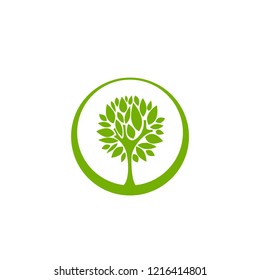 Green flat tree with sharp leaves  in circle isolated on white. organic symbol. Natural, fresh, eco logo. Wild nature.  environment day logo. Earth day or Arbor day icon. Vector illustration. Clip art