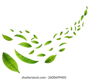 Green Floating Leaves Flying foliage ornament. Vegan, eco, organic design element. Cosmetic pattern border. Fresh tea background. Beauty product. Vector illustration