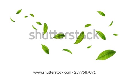Green Floating Leaves Flying foliage ornament. Vegan, eco, organic design element. Cosmetic pattern border. Fresh tea background. Beauty product. Vector illustration