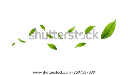Green Floating Leaves Flying foliage ornament. Vegan, eco, organic design element. Cosmetic pattern border. Fresh tea background. Beauty product. Vector illustration