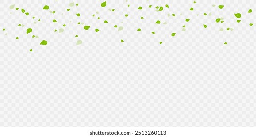 Folhas flutuantes verdes Folhas voadoras Folha verde Dança isolada em fundo transparente. Flying turbilhão folhas verdes no ar, produtos saudáveis por conceito de ingredientes naturais orgânicos