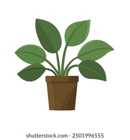  Green flora for the house decoration, garden in apartment. Indoor plant in flowerpot. Vector illustration