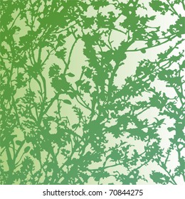 green floral background