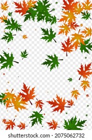Green Floral Background Transparent Vector. Foliage Down Template. Brown September. November Pattern. Yellow Maple Autumn.