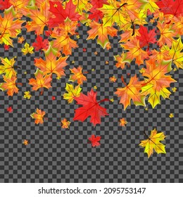Green Floral Background Transparent Vector. Leaf Beautiful Card. Autumnal Seasonal Plant. Tree Leaves Texture.