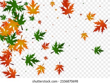 Green Floral Background Transparent Vector. Foliage Paper Design. Orange Celebrate. Realistic Texture. Yellow Leaf Flying.