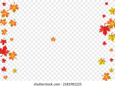Grüner floraler Hintergrund Transparenter Vektorgrafik. Pflanzenbodenvorlage. Abstrakte Autumnale Foliage. September-Leaf-Rahmen.