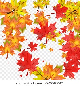 Green Floral Background Transparent Vector. Plant Bright Card. Yellow Collection Foliage. Design Leaf Texture.