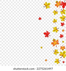 Green Floral Background Transparent Vector. Plant Forest Template. Golden Decoration Leaf. Wallpaper Foliage Frame.
