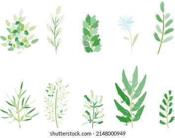 green floral branch  isolated vector set