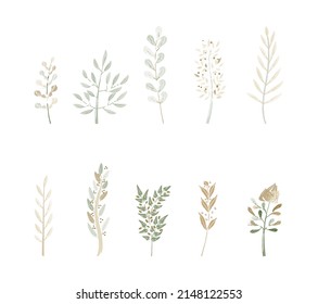 green floral branch  isolated vector set