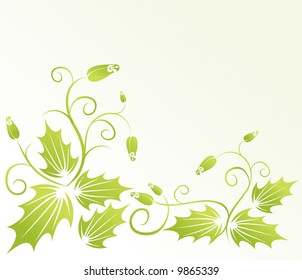 Green floral elegance background