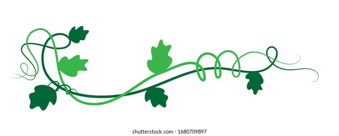 Green floral frame decoration element, leaves, isolated on white -  Vector