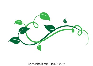 Green floral frame decoration element, leaves, isolated on white -  Vector