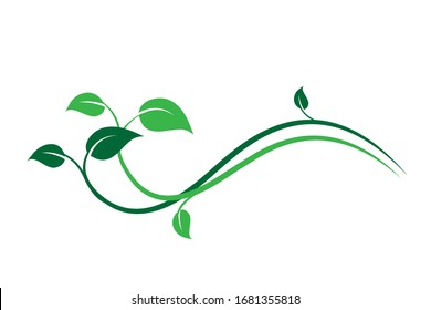 Green floral frame decoration element, ivy leaves, isolated on white -  Vector