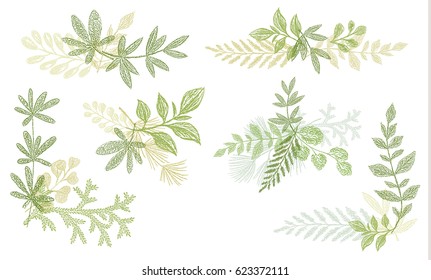 Green Floral Hand Drawn Decoration Elements. Vector Greenery Branches Isolated On White Background. Botanical Spring Doodle Wallpaper