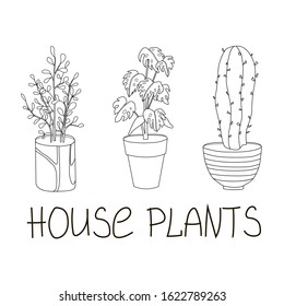 Green floral house plants illustration and lettring. Outline home flowers in pots in line art anf flat  style isolated on white background for greetig card, invintation print t-shirt