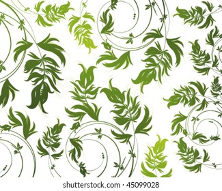 Green floral pattern on white background