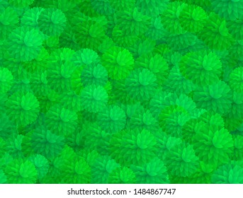 Green floral repeatable pattern with cone group  of leafes