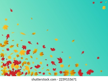 Green Floral Vector Blue Background. Paper Foliage Illustration. Orange Pattern Leaf Texture. Decor Card.