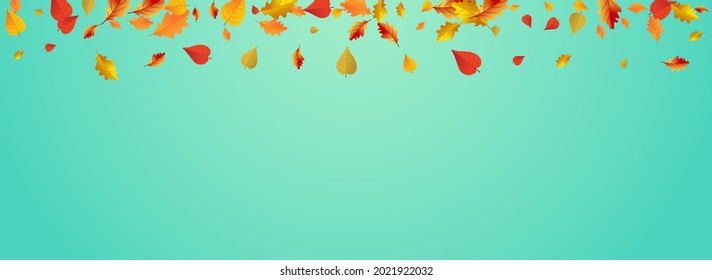 Green Floral Vector Blue Panoramic Background. Seasonal Leaves Card. Ocher September Leaf Frame. Nature Template.