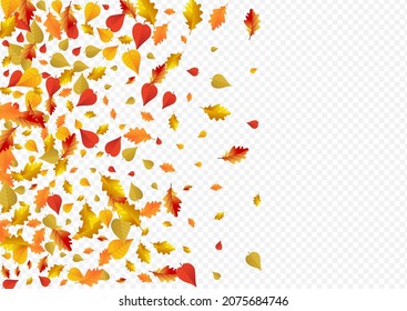 Fondo transparente del vector floral verde. Diseño de la textura de la planta. Plantilla De Foliage Brillante Y Colorida. Ilustración Resumen.