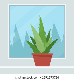 Green flower of aloe vera stands on the window. Flat vector illustration.