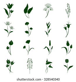 green flower icon set with white background