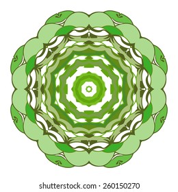 Green flower in a kaleidoscope vector