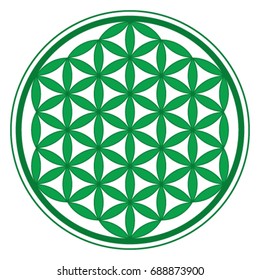 Green Flower of Life icon vector